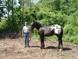 Sugarbush Harley's Classic O with breeder Everett Smith