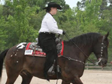 DJH Thor of Hopehaven, Hardship Gelding owned by Dorinda Hennings